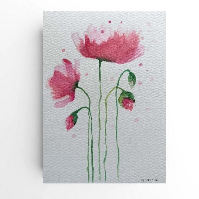 Maki- obraz  akwarela