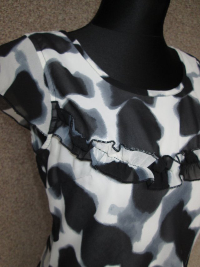 Łaciata/elegancka - 14/42