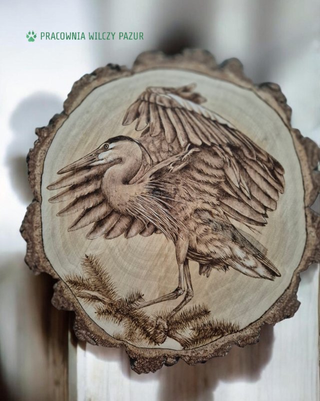 Czapla na okrągłym plastrze brzozowym