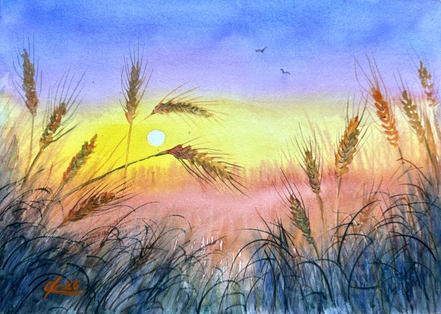 Kłosy pszenicy  Original Akwarela A4