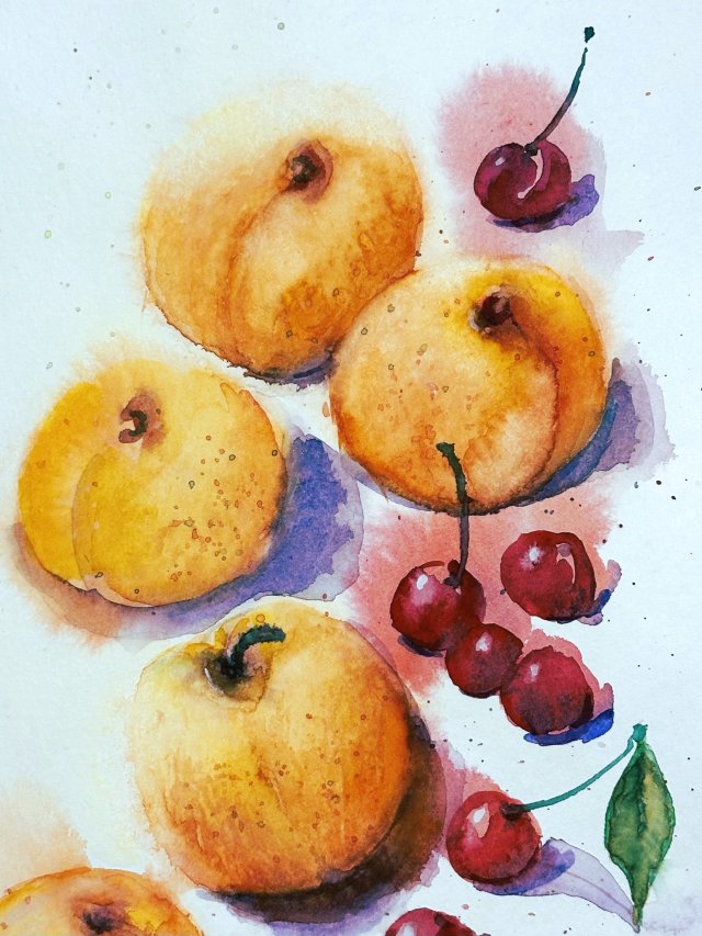 Morele i wiśnie Original Akwarela A4