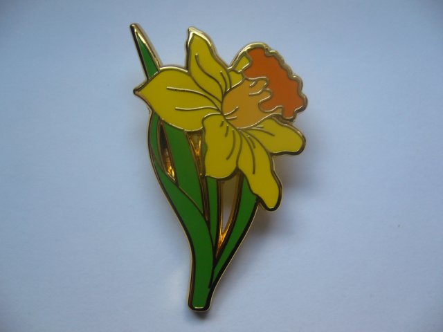 METALOWA EMALIOWANA PRZYPINKA PIN ŻONKIL