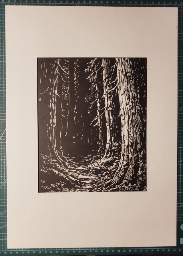 Las, Bór, Drzewa - oprawione passe-partout - Linoryt, ilustracja, grafika, obrazek, obraz, sztuka, plakat, dekoracje