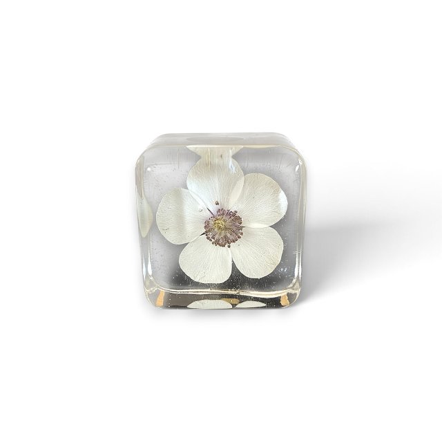 Gałka meblowa kwadracik FLOKS 25 mm - kwiaty w żywicy - Pralines