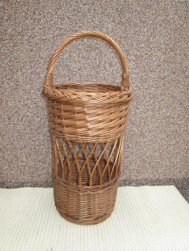 Parasolnik