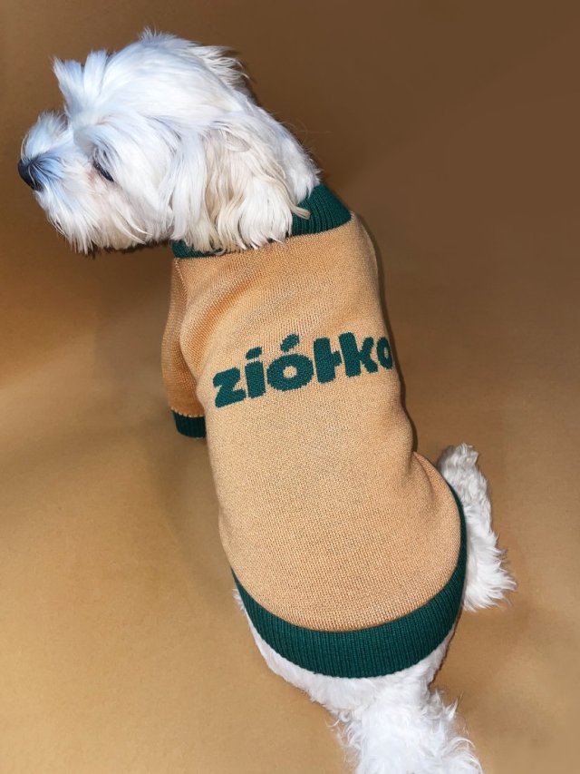 ZIÓŁKO 100% merino extra fine, rozmiar XS