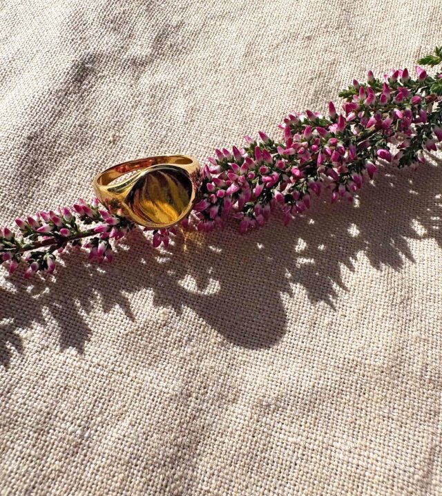 sygnet w stylu vintage