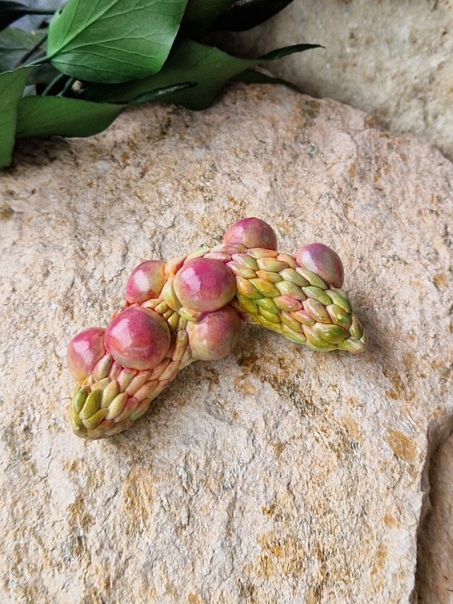 Broszka Magnolia 2