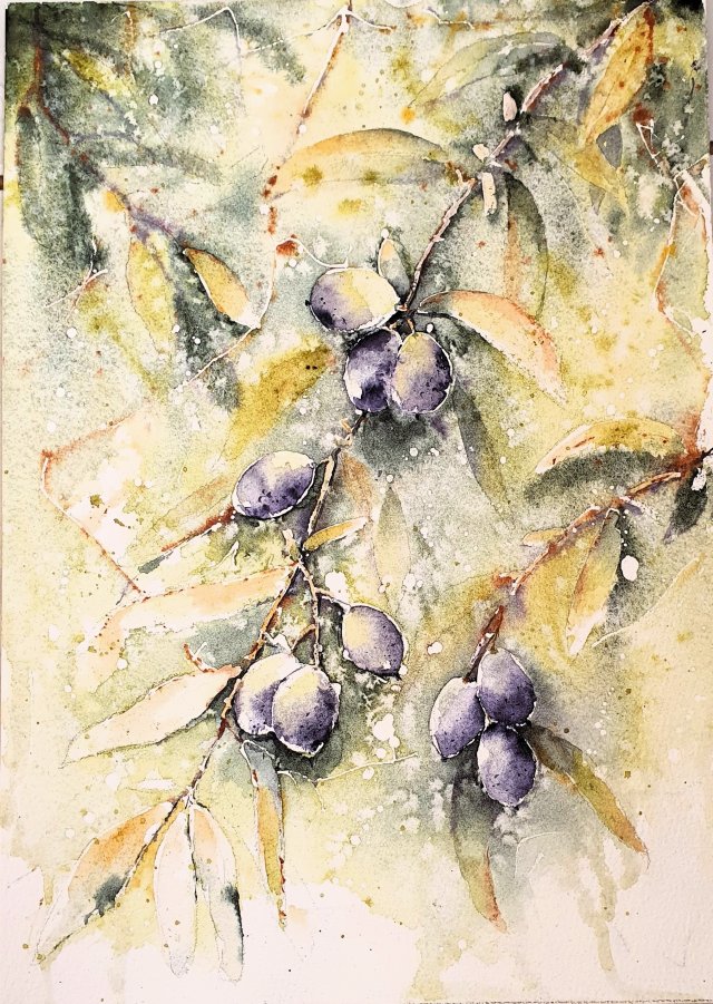 Oliwki - dekoracja, oryginalna akwarela A4 (21x29,7 cm)