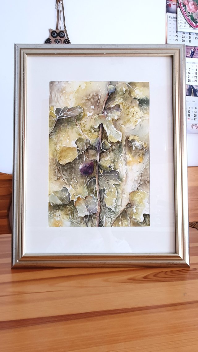 Figi - dekoracja,  oryginalna akwarela A4 (21x29,7 cm)