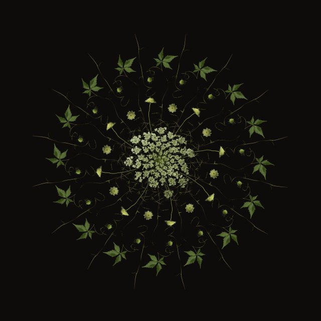 Delikatność - mandala botaniczna