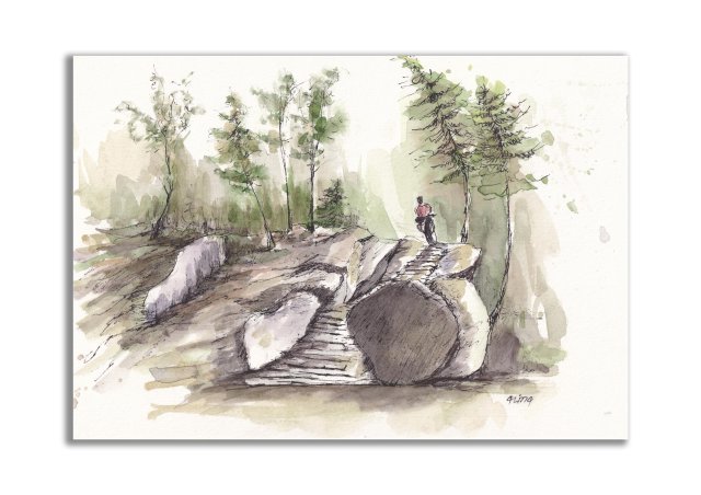 Rower MTB, góry. Jesenik. Grafika ręcznie malowana