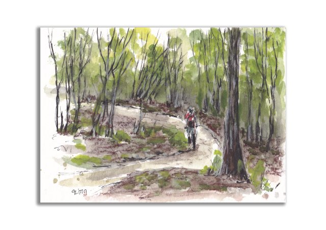 Rower MTB, góry. Jesenik. Grafika ręcznie malowana + rama