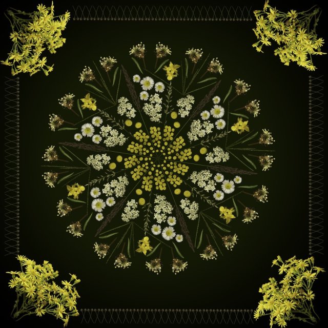 Sierpniowa łąka - mandala botaniczna