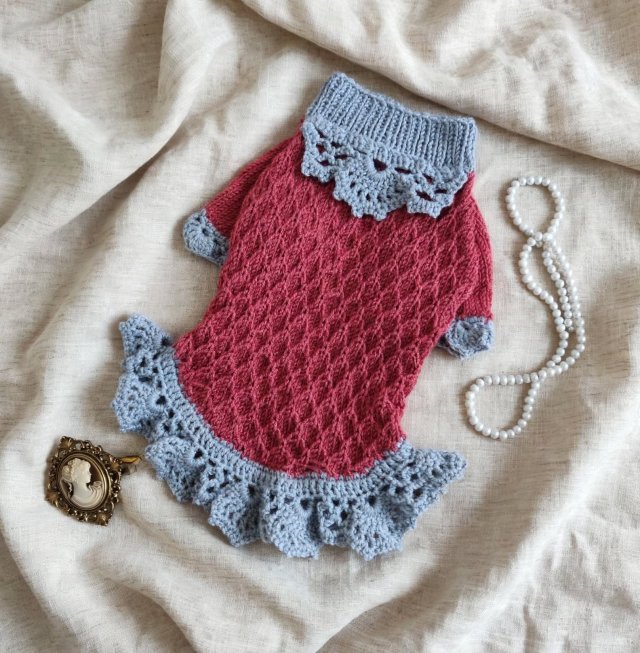 Sukienka dla małego psa "Mała Księżna" od Foxy Knit – wiktorianski dramatyzm i bezczelny luksus