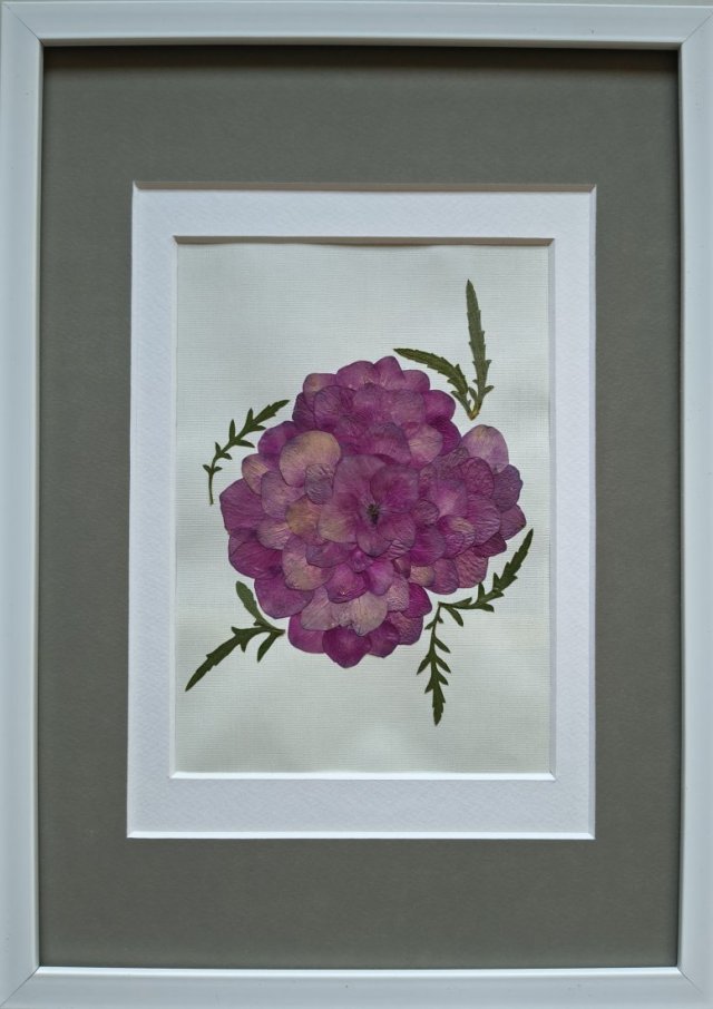 Hortensjowa kompozycja – obraz z suszonych kwiatów 21 × 30 cm