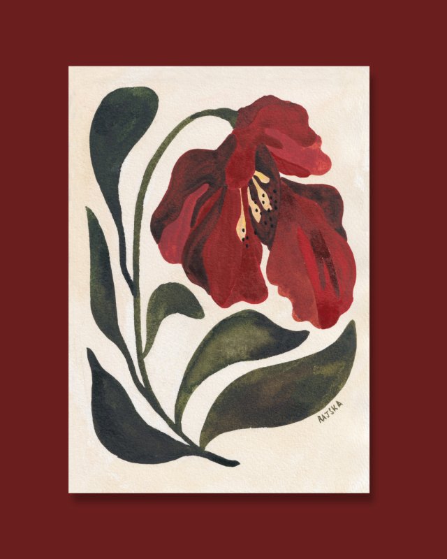 Plakat Amarylis