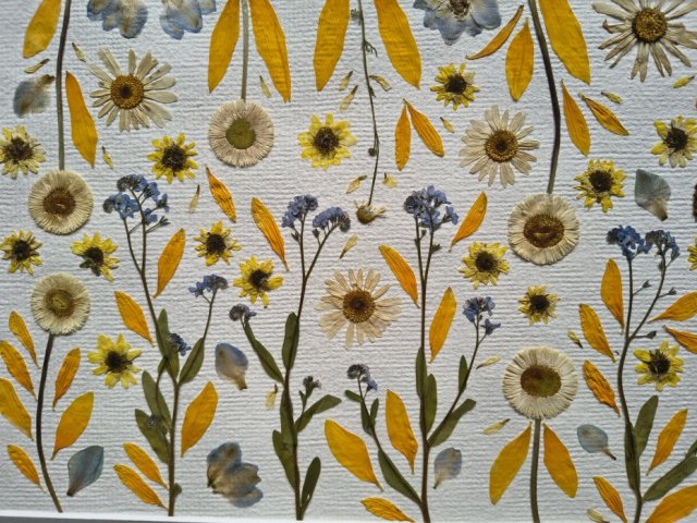 Łąka, która nie przemija - obraz botaniczny 30x40