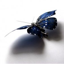 motyl...