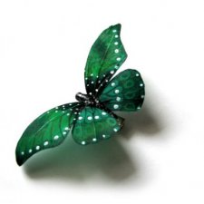 motyl...