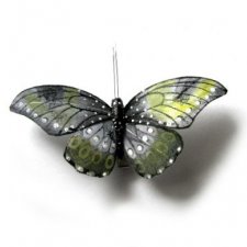 motyl...