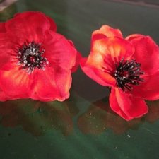 Flower Power Papaver