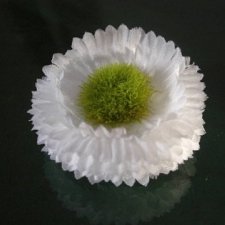 Flower Power