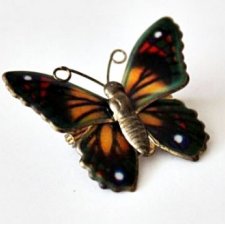 Barwy motyla