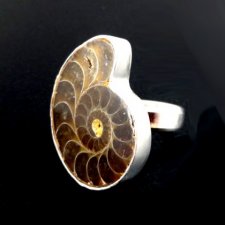 pradawny amonit w srebrze