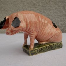 Świnia w Porcelanie !