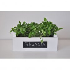 Skrzynka