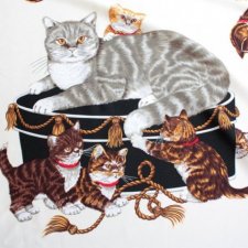 Exclusive cat scarf