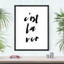 Plakat c'est la vie - A3