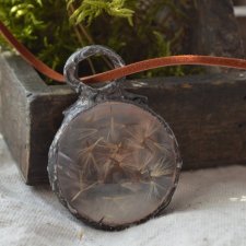 terrarium dmuchawce