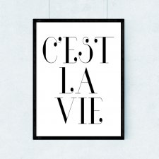 Plakat c'est la vie - A3