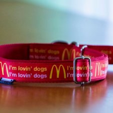 Obroża I'm lovin' dogs, różne rozmiary