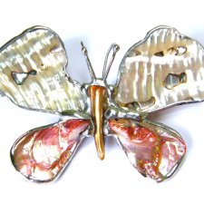 Broszkowisior: Motyl z tęczową muszlą