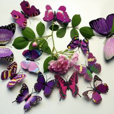 Motyle dekoracyjne