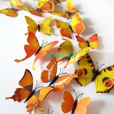 Motyle dekoracyjne