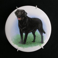 Jestem        Śliczny       Ceramiczny