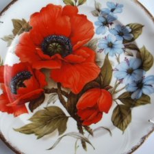 argyle Bone China użytkowy I dekoracyjny talerz porcelanowy