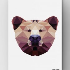 Niedźwiedź Wild B2