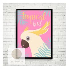 Plakat "Papuga" A3