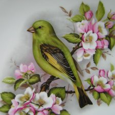 Royal Worcester porcelanowy talerz dekoracyjny  i użytkowy pięknie ptasio zdobiony