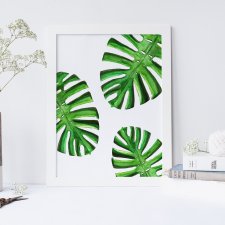 Plakat "Monstera" format A4