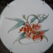 EUCALYPTUS     by    PHILIPPA NIKULINSKY -THE AUSTRALIAN WILDFLOWER COLLECTION -porcelanowy,  użytkowy,  dekoracyjny. ..