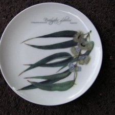 EUCALYPTUS     by      DAVID BLAIR kolekcjonerski dekoracyjny użytkowy