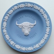 WEDGWOOD ❤ Jasper ware ❤ porcelana biskwitowa ❤ talerzyk