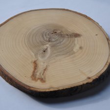 Drewniana podstawka, krążek z drewna, plaster topola