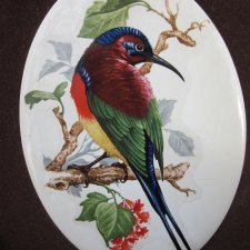 exotic birds - efektowny, rzadko spotykany medalion porcelanowy - obraz  w ramie - oryginalny bardzo dekoracyjny No. 5